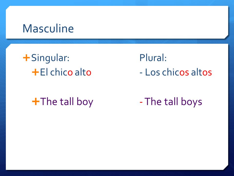Masculine  Singular:Plural:  El chico alto- Los chicos altos  The tall boy- The tall boys