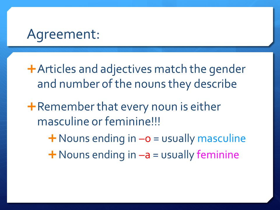 Agreement:  Articles and adjectives match the gender and number of the nouns they describe  Remember that every noun is either masculine or feminine!!.