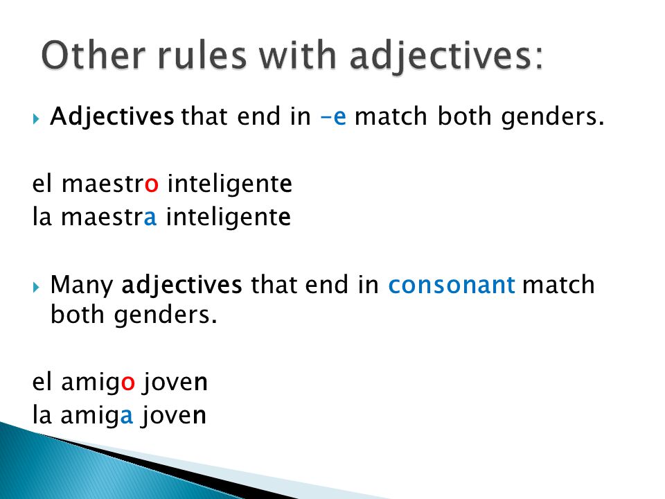 Adjectives that end in –e match both genders.
