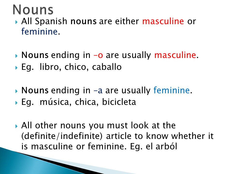  All Spanish nouns are either masculine or feminine.