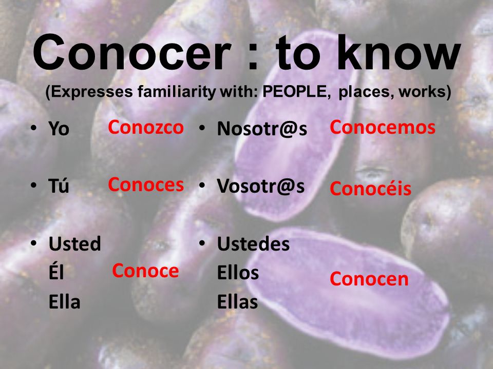 Conocer : to know (Expresses familiarity with: PEOPLE, places, works) Yo Tú Usted Él Ella  Ustedes Ellos Ellas Conozco Conoces Conoce Conocemos Conocéis Conocen