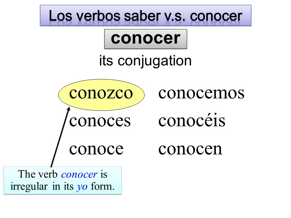 conozco conoces conoce conocemos conocéis conocen The verb conocer is irregular in its yo form.