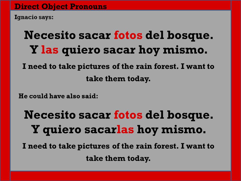 Direct Object Pronouns Necesito sacar fotos del bosque.