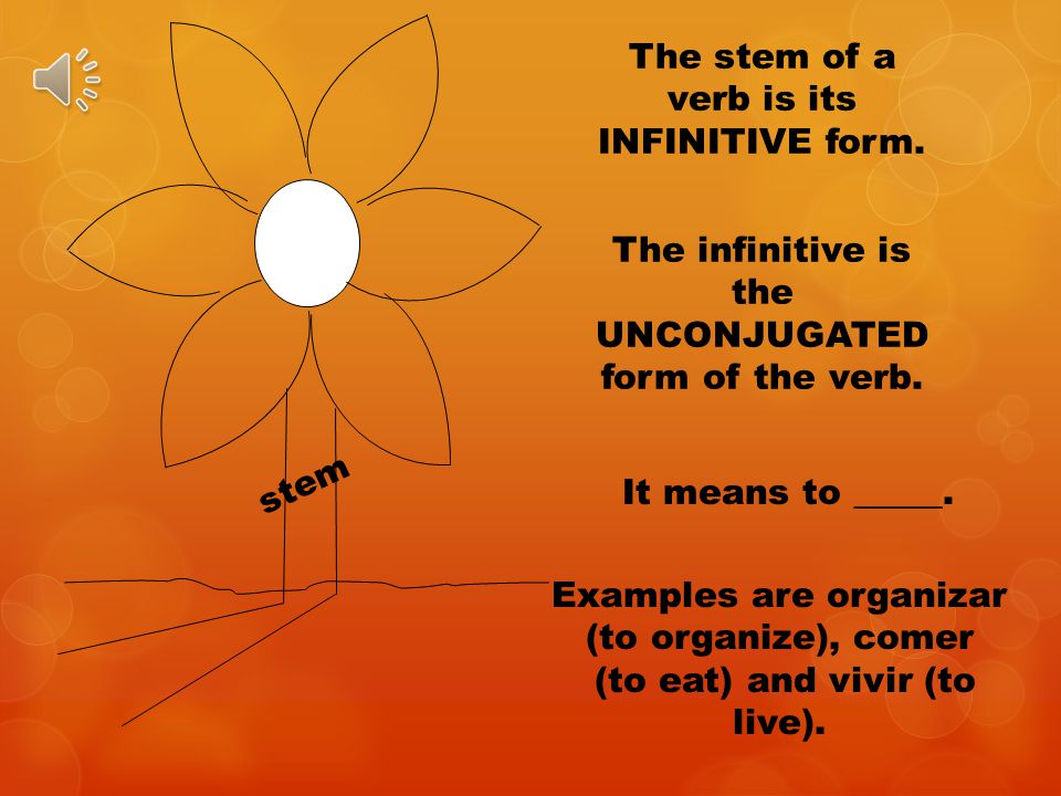 This is a verb flower.