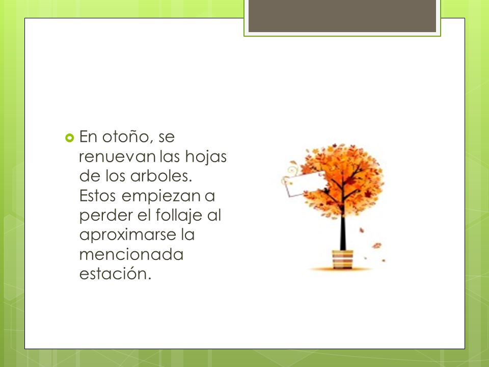 Por qué las hojas caen de los árboles en otoño ? Presentado por: Cristian  Hurtado. - ppt descargar