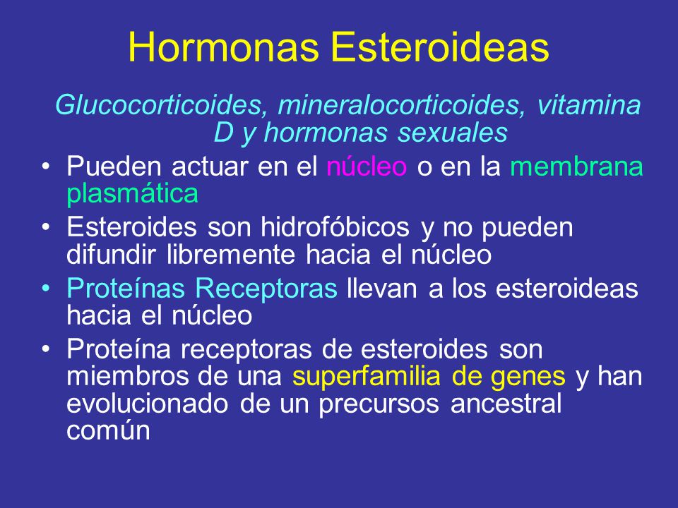 Caracteristicas De Las Hormonas No Esteroideas
