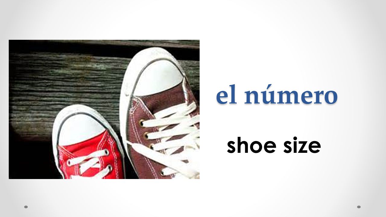 el número shoe size
