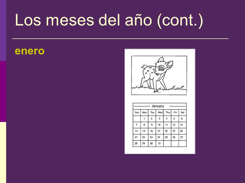 Los meses del año After learning the days of the week, Malena wants to learn the months of the year.