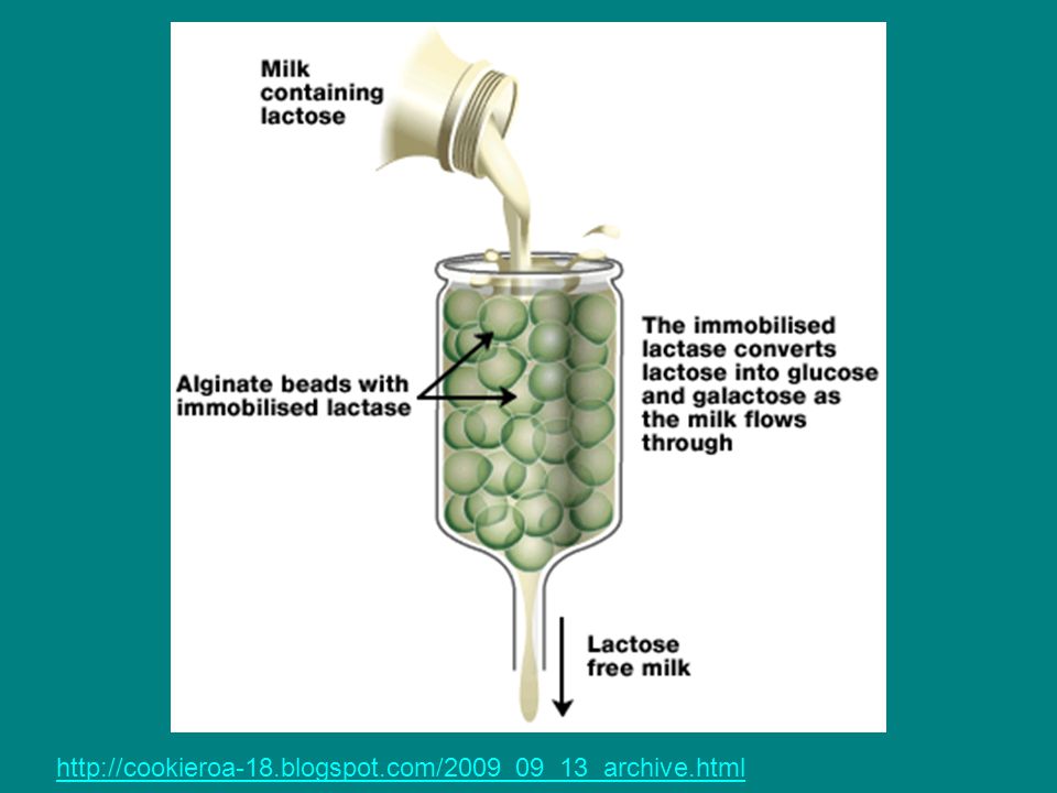 Milking перевод на русский. Use of immobilized Enzymes. Contain lactose. Enzymes in Milk Technology. Lactose Medicine.