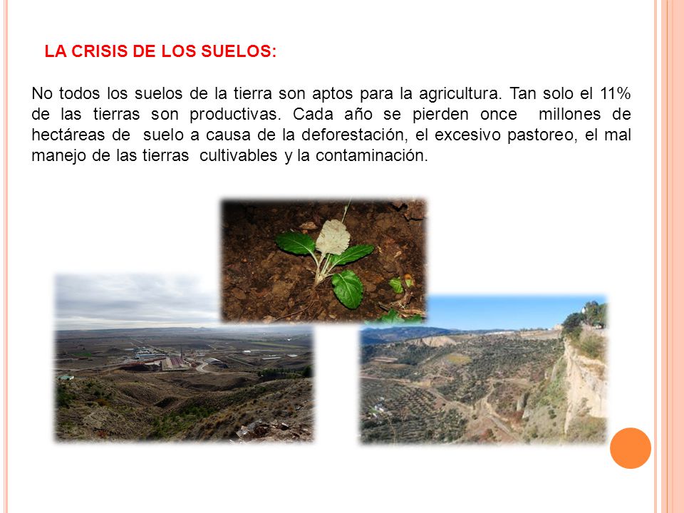 LA CRISIS DE LOS SUELOS: No todos los suelos de la tierra son aptos para la agricultura.