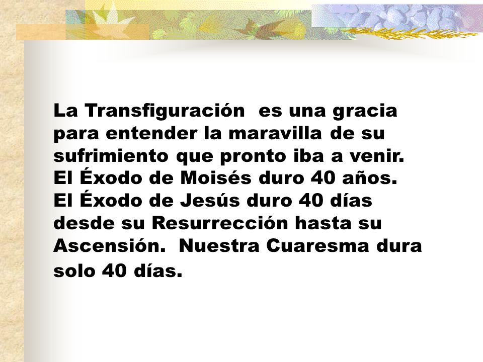 La Transfiguración es una gracia para entender la maravilla de su sufrimiento que pronto iba a venir.