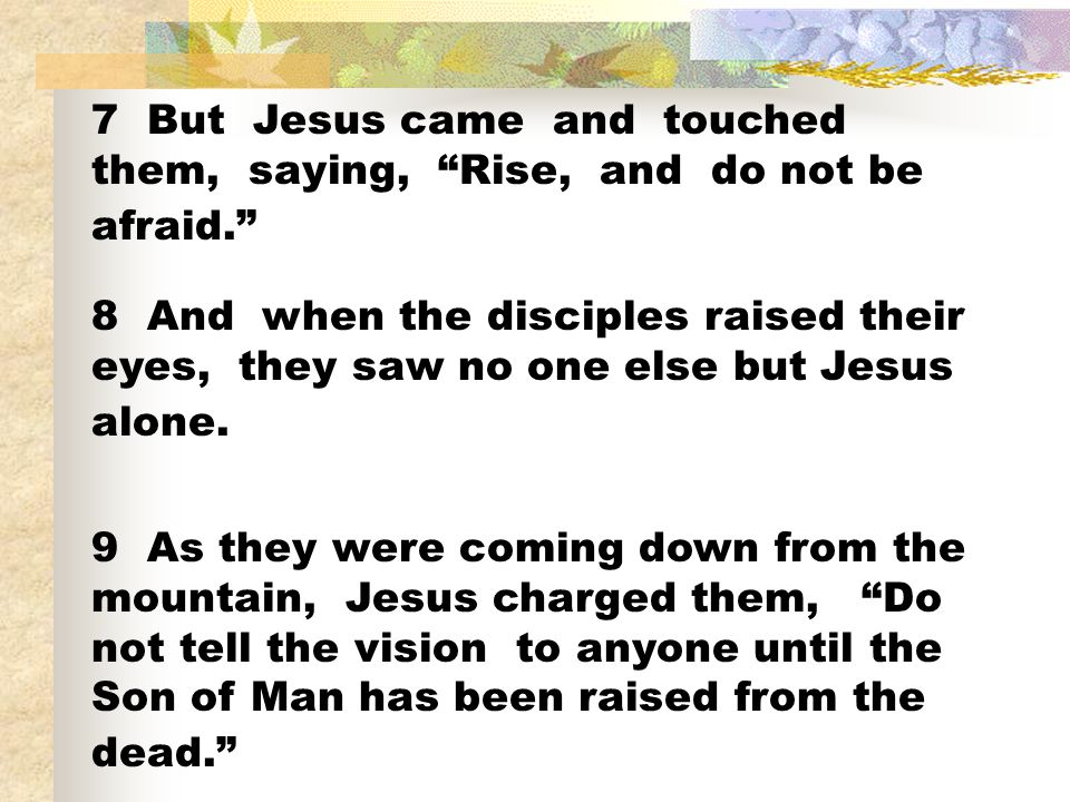 7 But Jesus came and touched them, saying, Rise, and do not be afraid. 8 And when the disciples raised their eyes, they saw no one else but Jesus alone.