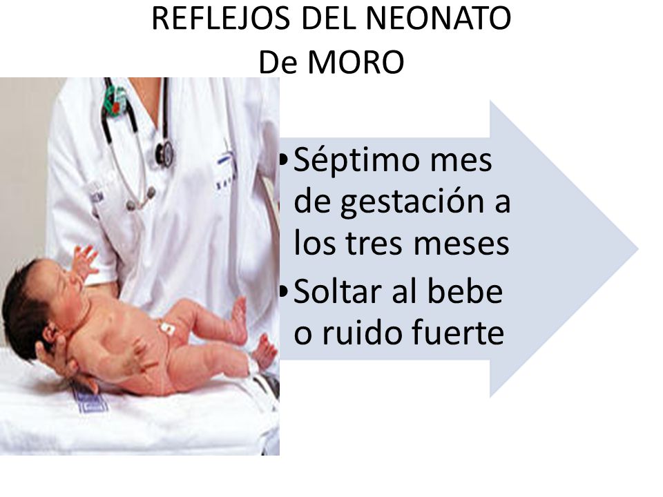REFLEJOS DEL NEONATO De MORO Séptimo mes de gestación a los tres meses Soltar al bebe o ruido fuerte