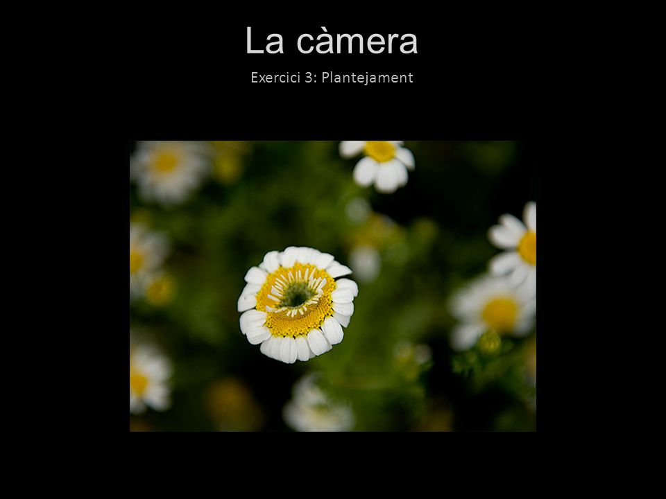 La càmera Exercici 3: Plantejament