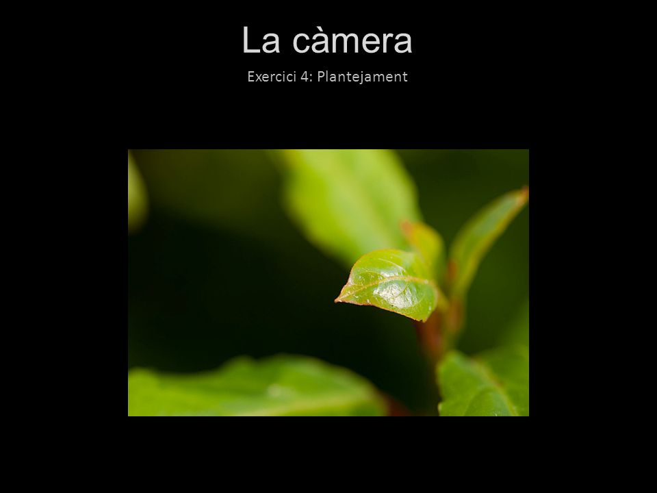 La càmera Exercici 4: Plantejament