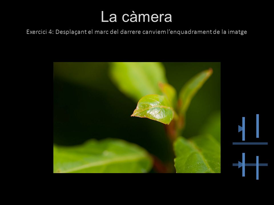 La càmera Exercici 4: Desplaçant el marc del darrere canviem l’enquadrament de la imatge