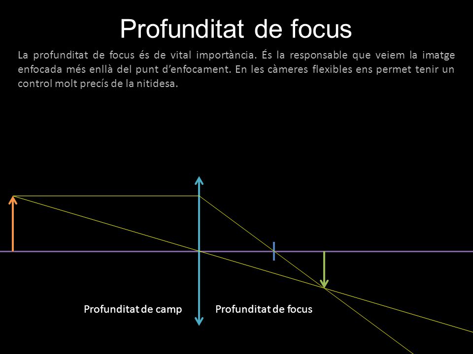 Profunditat de campProfunditat de focus La profunditat de focus és de vital importància.