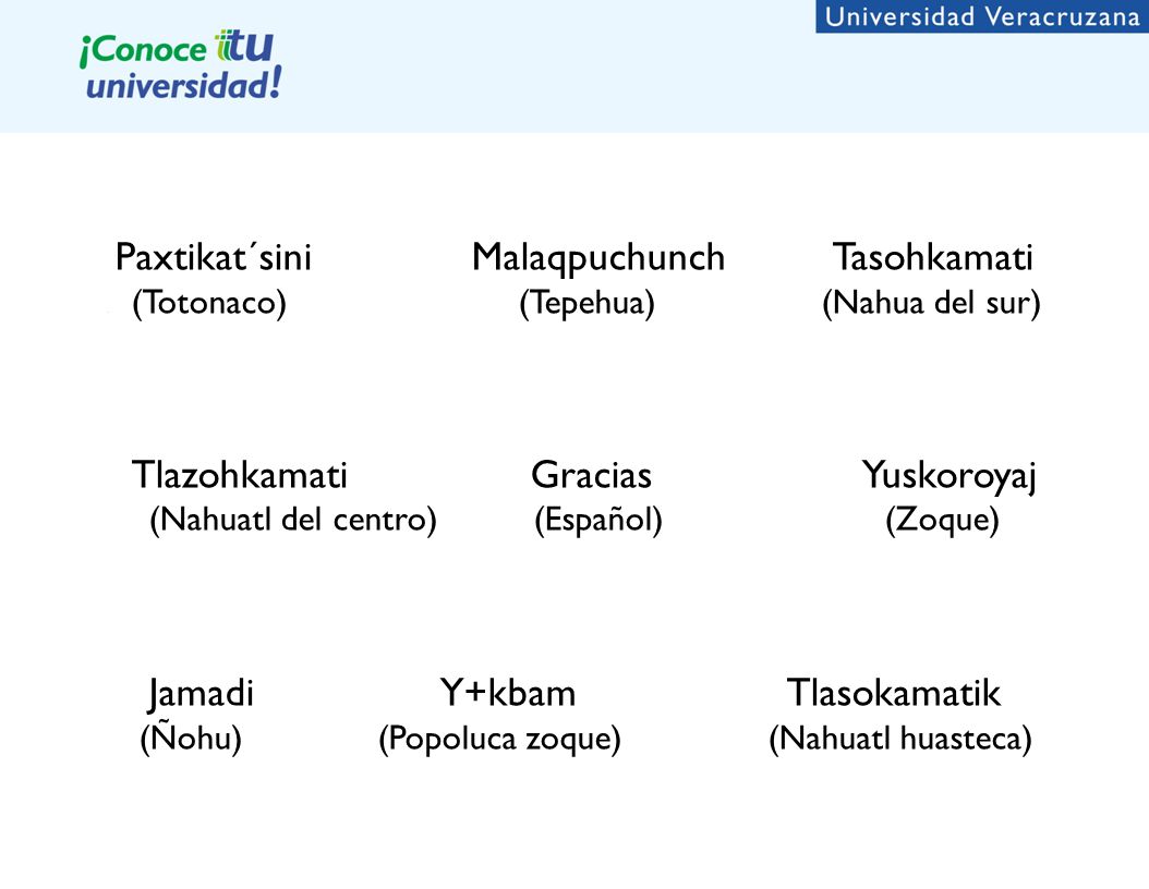 Dirección de la Universidad Veracruzana Intercultural. - ppt descargar