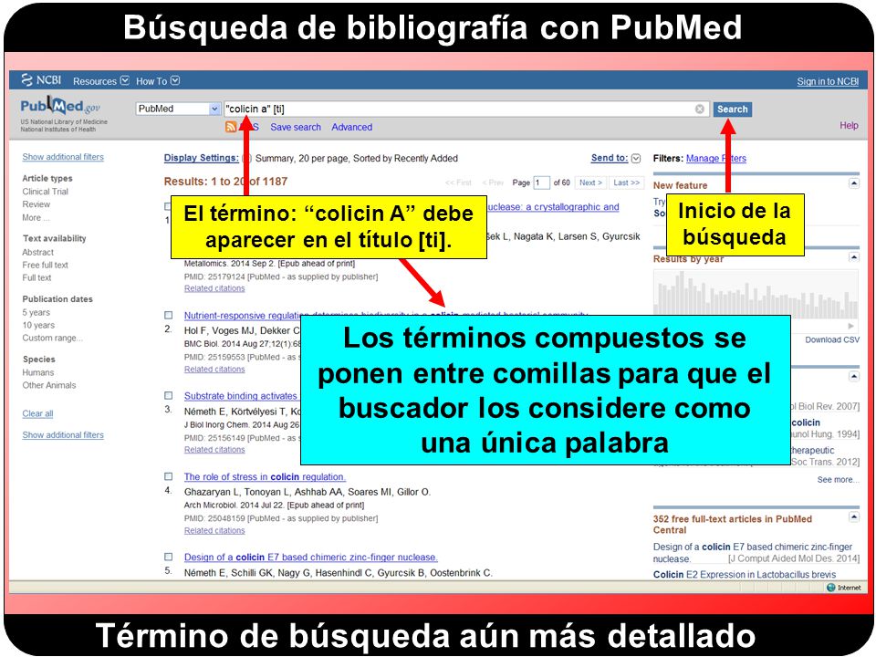 Cómo medir la presión arterial en casa - Las Guías Sumarias de los  Consumidores - NCBI Bookshelf