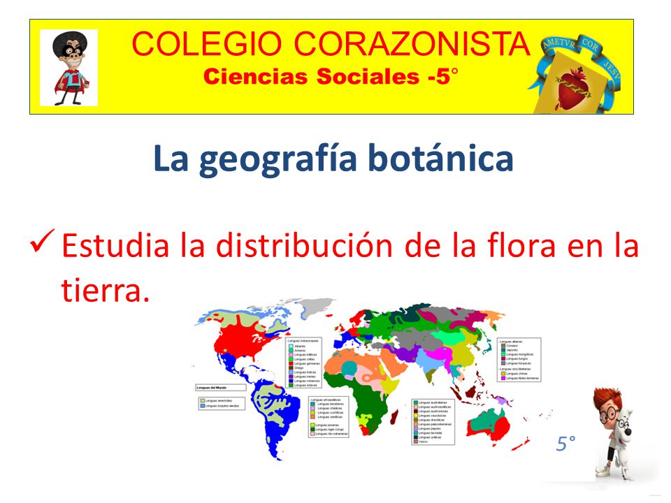 COLEGIO CORAZONISTA Ciencias Sociales -5° 5° La geografía botánica Estudia la distribución de la flora en la tierra.