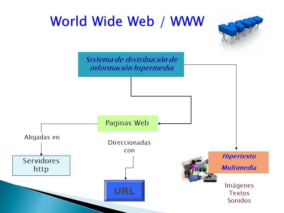 World Wide Web / WWW Sistema de distribución de información hipermedia Paginas Web Imágenes Textos Sonidos Hipertexto Multimedia Hipertexto Multimedia Servidores http Servidores http Alojadas en Direccionadas con URL