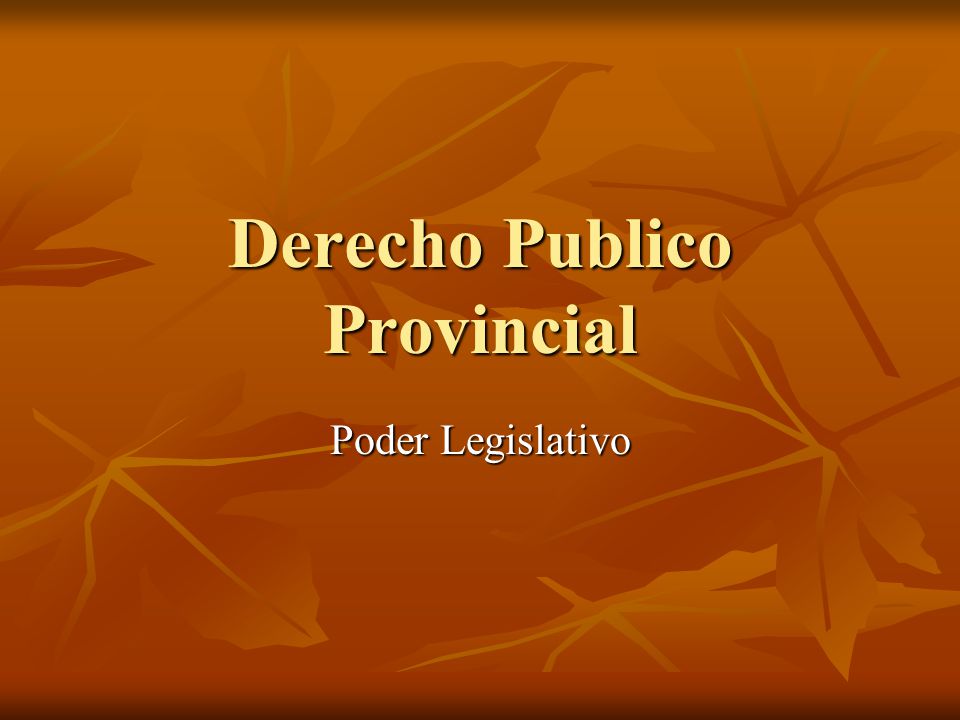 Derecho Publico Provincial Poder Legislativo Introduccion Forma