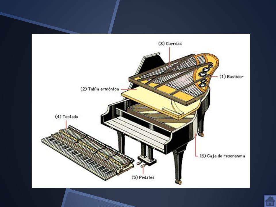 Instrumentos De Cuerda Ppt Descargar