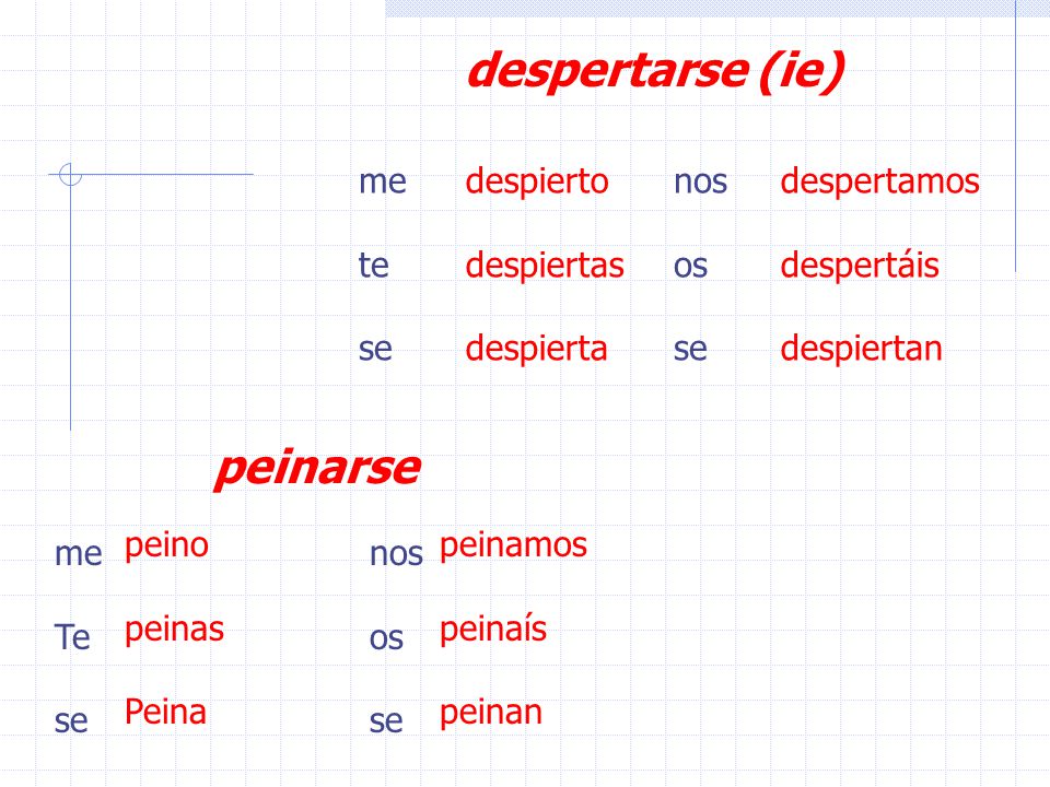 How do you form these verbs? levantarse 1. Remove the Se, then conjugate th...
