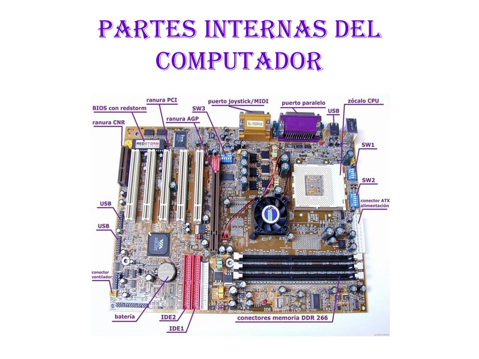 Partes internas del computador