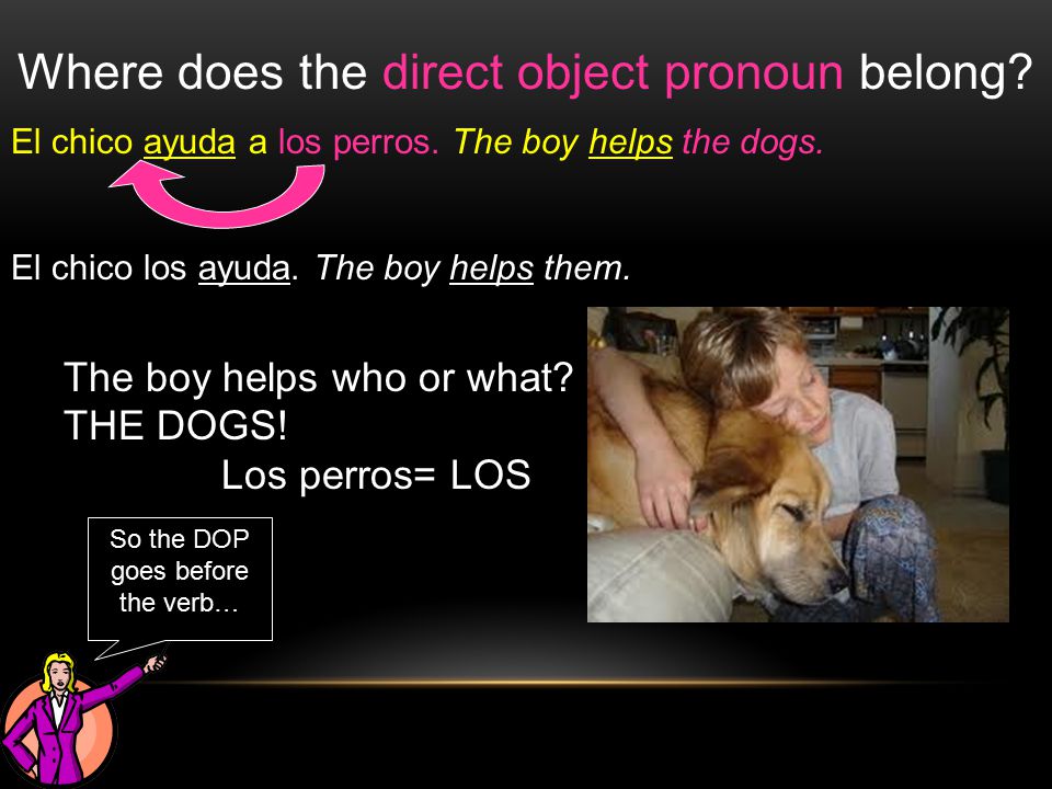 Where does the direct object pronoun belong. El chico ayuda a los perros.