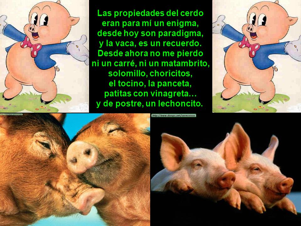 El Cerdo Y Sus Derivados Animado
