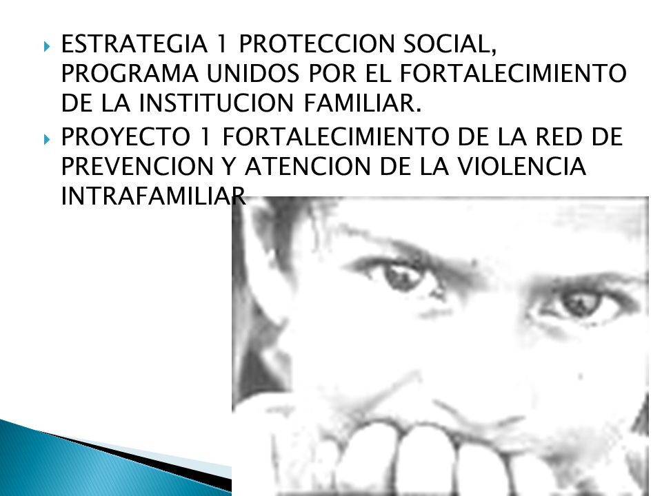  ESTRATEGIA 1 PROTECCION SOCIAL, PROGRAMA UNIDOS POR EL FORTALECIMIENTO DE LA INSTITUCION FAMILIAR.