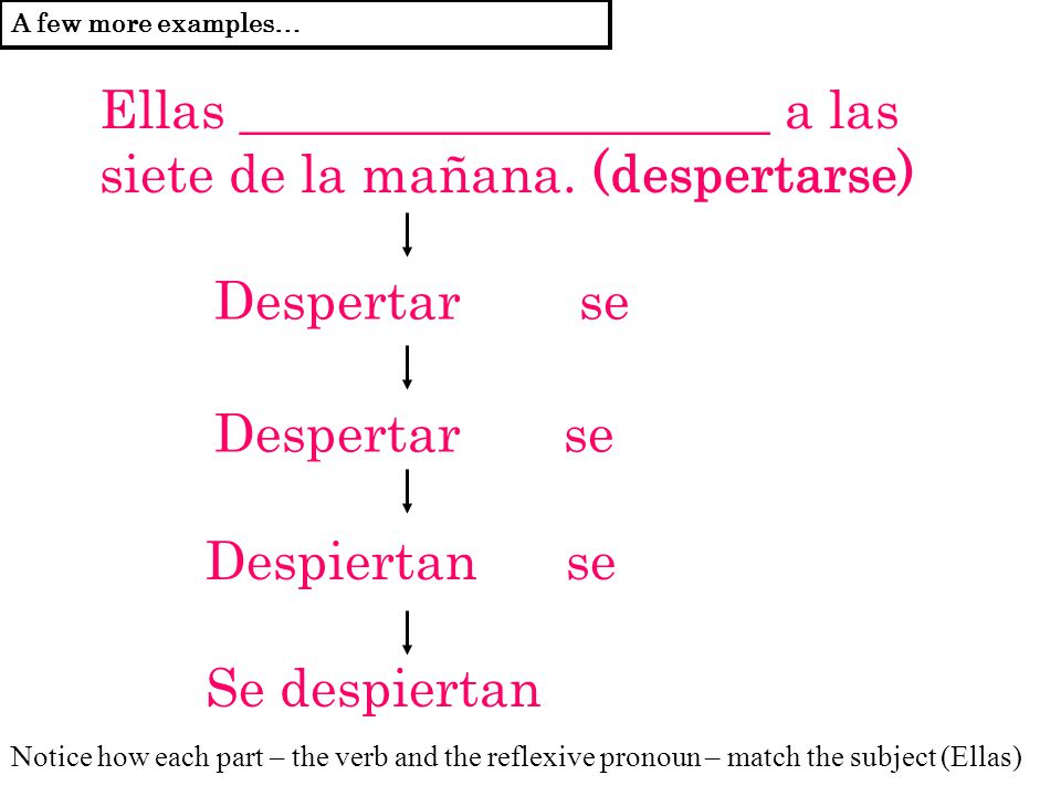 Chapter 2A: Reflexive Verbs Vocab. To Wake Up (e Ie) Despertarse. - Ppt ...