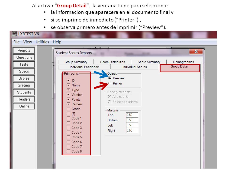Al activar Group Detail, la ventana tiene para seleccionar la informacion que aparecera en el documento final y si se imprime de inmediato (Printer), se observa primero antes de imprimir (Preview).