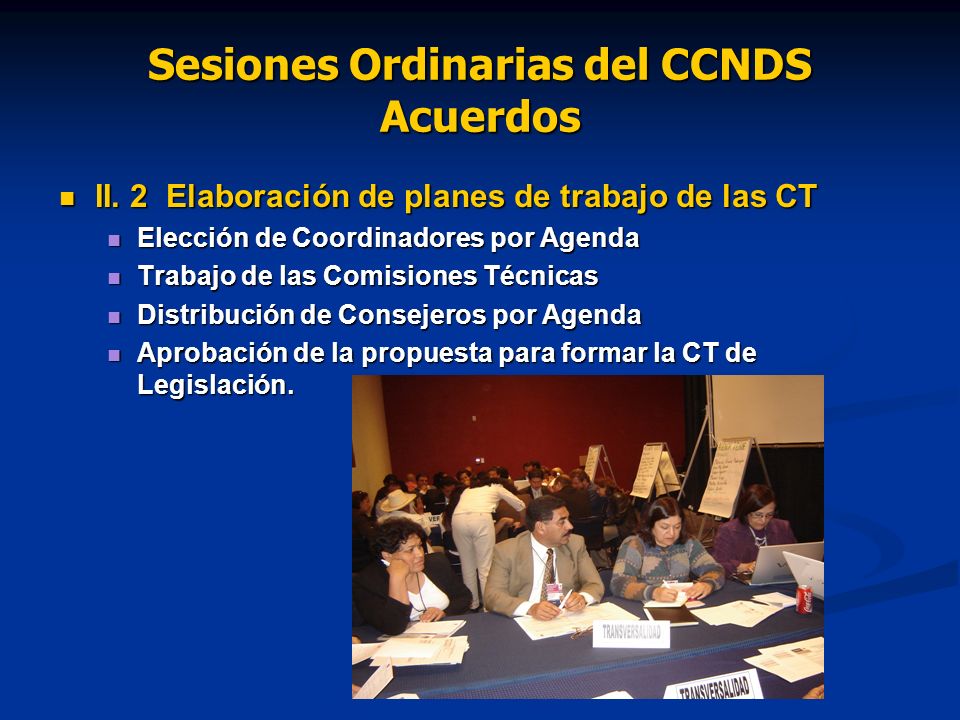 Sesiones Ordinarias del CCNDS Acuerdos II. 2 Elaboración de planes de trabajo de las CT II.