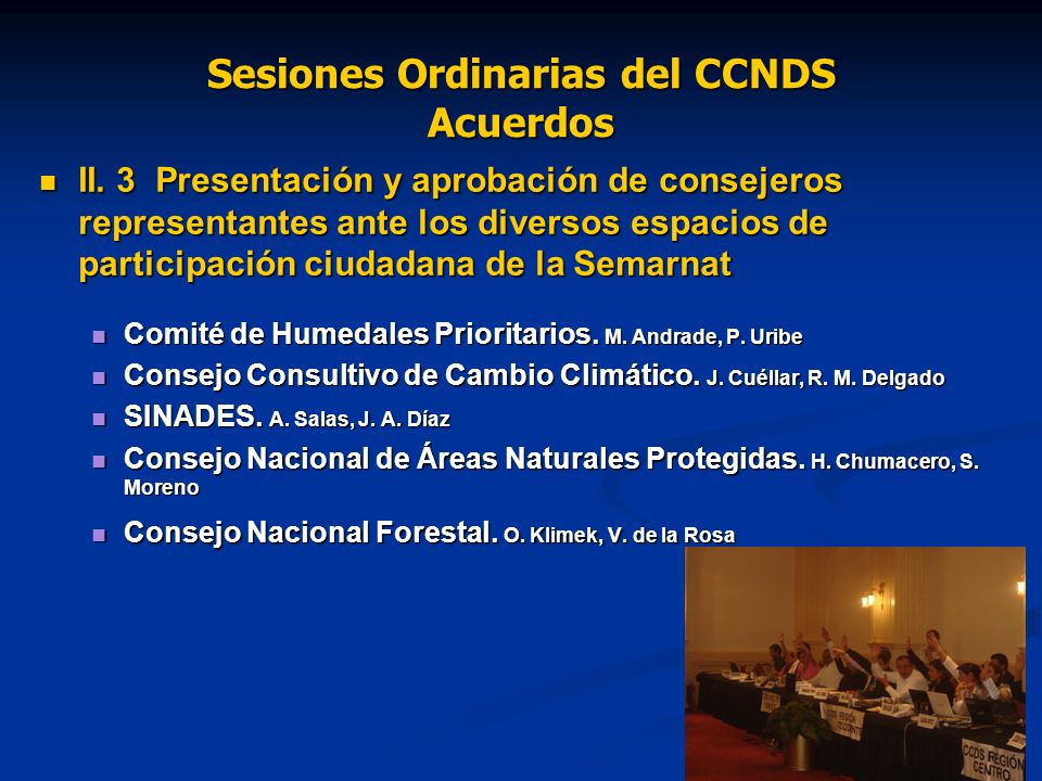Sesiones Ordinarias del CCNDS Acuerdos II.