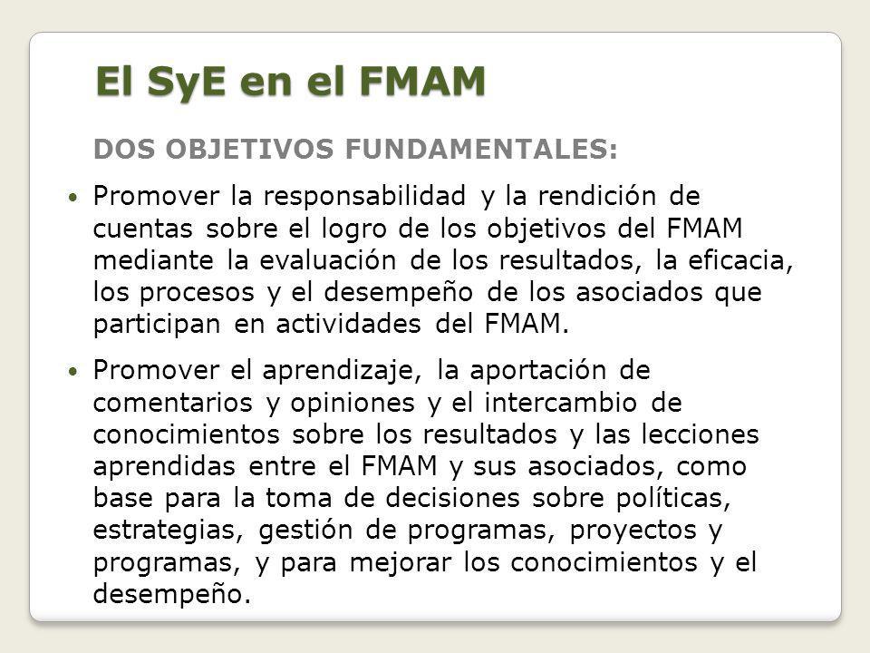 El SyE en el FMAM DOS OBJETIVOS FUNDAMENTALES: Promover la responsabilidad y la rendición de cuentas sobre el logro de los objetivos del FMAM mediante la evaluación de los resultados, la eficacia, los procesos y el desempeño de los asociados que participan en actividades del FMAM.