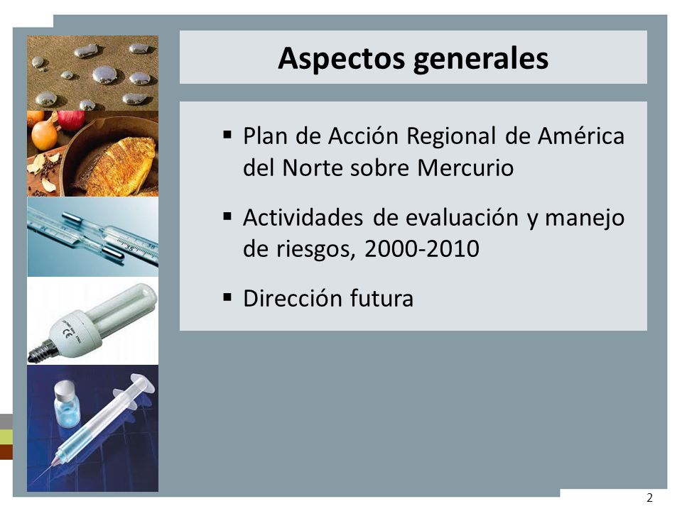 Plan de Acción Regional de América del Norte sobre Mercurio Actividades de evaluación y manejo de riesgos, Dirección futura Aspectos generales 2