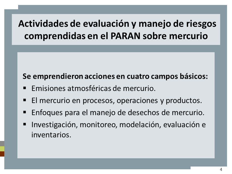 Actividades de evaluación y manejo de riesgos comprendidas en el PARAN sobre mercurio Se emprendieron acciones en cuatro campos básicos: Emisiones atmosféricas de mercurio.