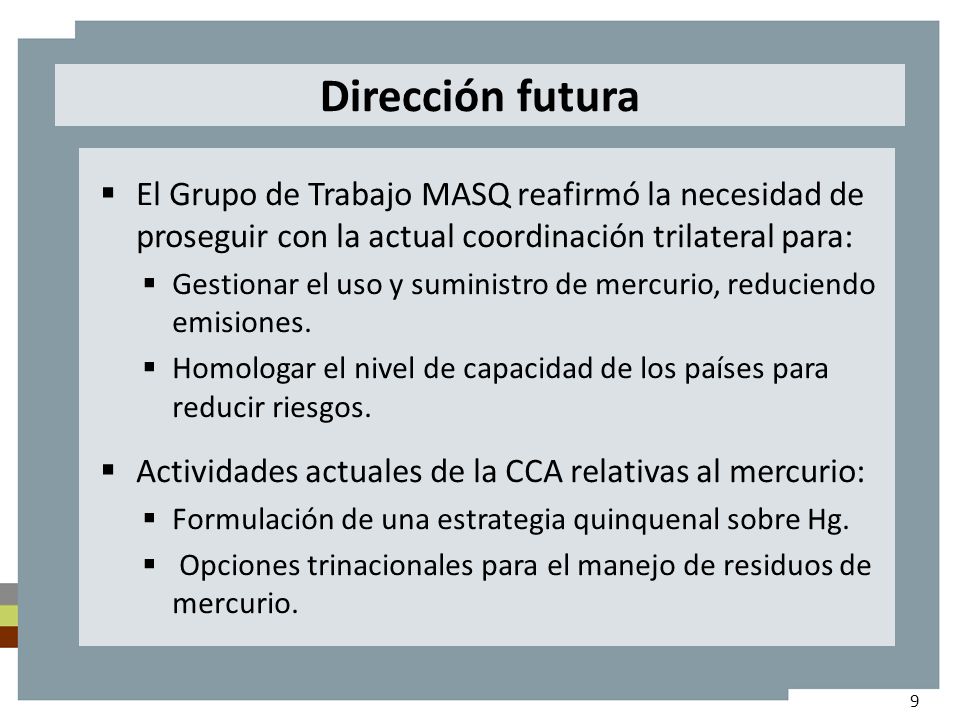 Dirección futura El Grupo de Trabajo MASQ reafirmó la necesidad de proseguir con la actual coordinación trilateral para: Gestionar el uso y suministro de mercurio, reduciendo emisiones.