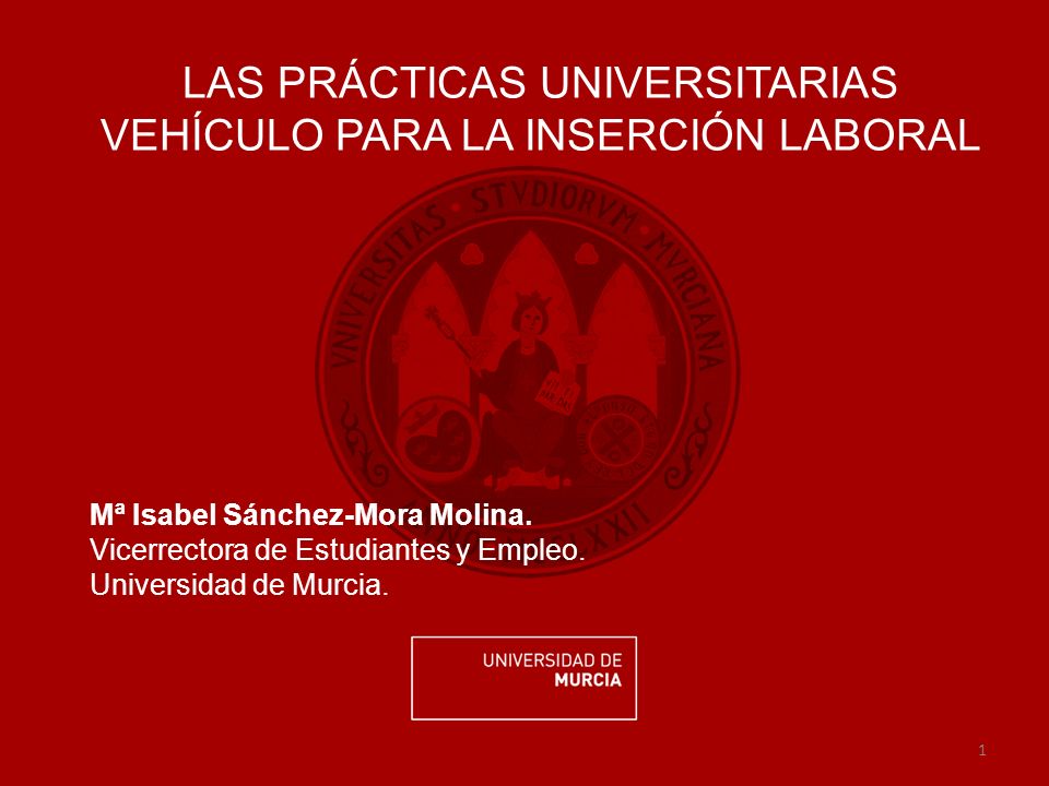 1 LAS PRÁCTICAS UNIVERSITARIAS VEHÍCULO PARA LA INSERCIÓN LABORAL Mª Isabel Sánchez-Mora Molina.