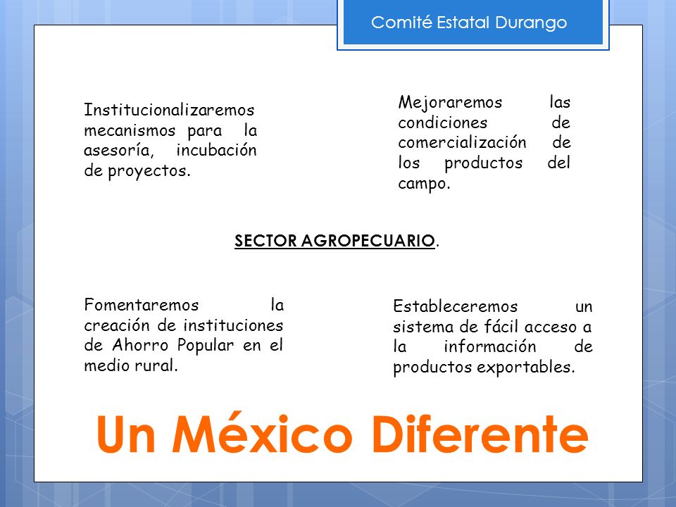 Un México Diferente Comité Estatal Durango Institucionalizaremos mecanismos para la asesoría, incubación de proyectos.
