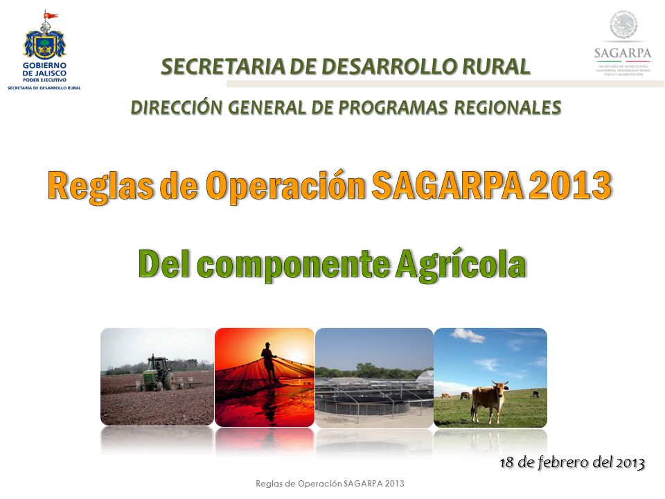 Reglas de Operación SAGARPA 2013 SECRETARIA DE DESARROLLO RURAL DIRECCIÓN GENERAL DE PROGRAMAS REGIONALES 18 de febrero del 2013