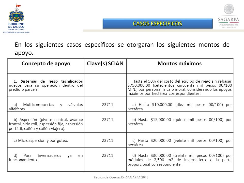 Reglas de Operación SAGARPA 2013 CASOS ESPECIFICOS En los siguientes casos específicos se otorgaran los siguientes montos de apoyo.