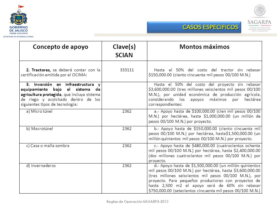 Reglas de Operación SAGARPA 2013 CASOS ESPECIFICOS Concepto de apoyoClave(s) SCIAN Montos máximos 2.