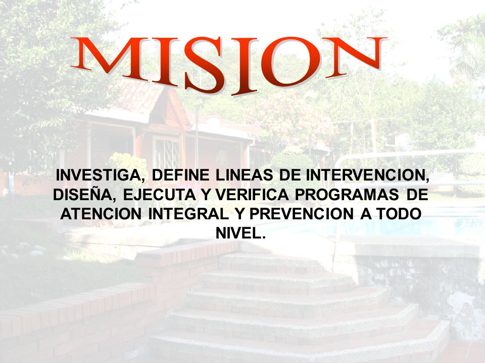 INVESTIGA, DEFINE LINEAS DE INTERVENCION, DISEÑA, EJECUTA Y VERIFICA PROGRAMAS DE ATENCION INTEGRAL Y PREVENCION A TODO NIVEL.
