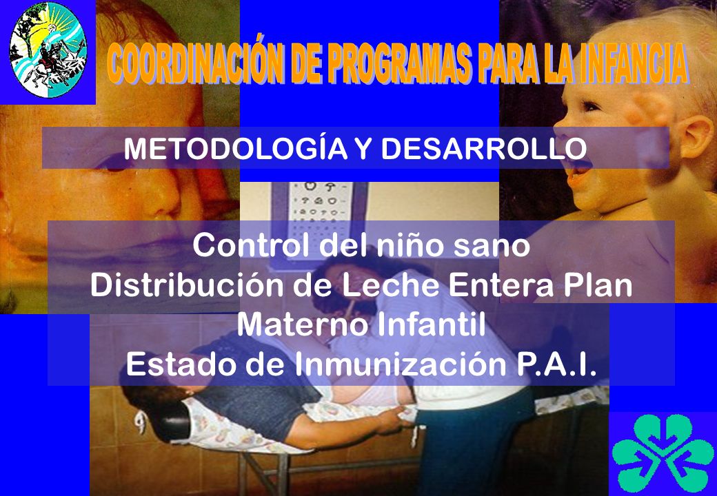 METODOLOGÍA Y DESARROLLO Control del niño sano Distribución de Leche Entera Plan Materno Infantil Estado de Inmunización P.A.I.