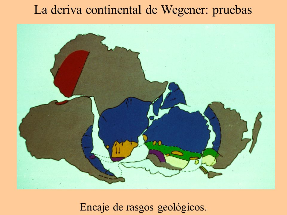 La deriva continental de Wegener: pruebas Continente Plataforma continental Solapamiento Huellas Encaje de costas.