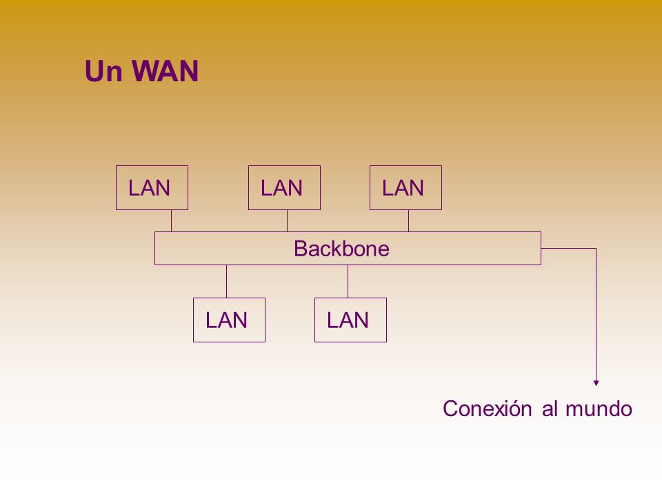 Backbone LAN Un WAN Conexión al mundo
