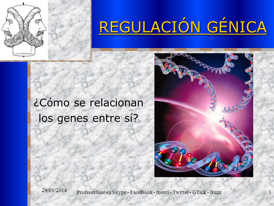 ProfesorJano en Skype - FaceBook - tuenti - Twitter - GTalk - Buzz1 29/01/2014 REGULACIÓN GÉNICA ¿Cómo se relacionan los genes entre sí
